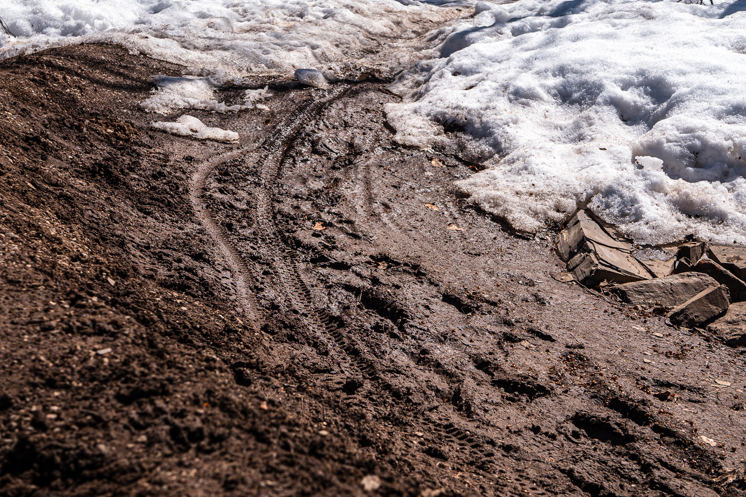 Damaged Trail_WebQTY-2